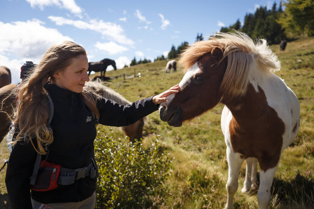 Nicki streichelt Pferd