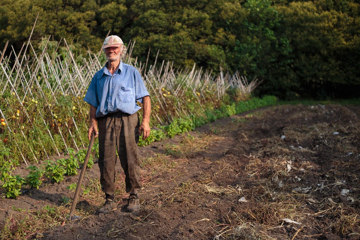 Ein alter Mann auf dem Feld