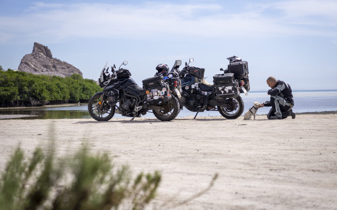 Unser Fazit: Wie tauglich ist ein Tiger als Reisemotorrad?